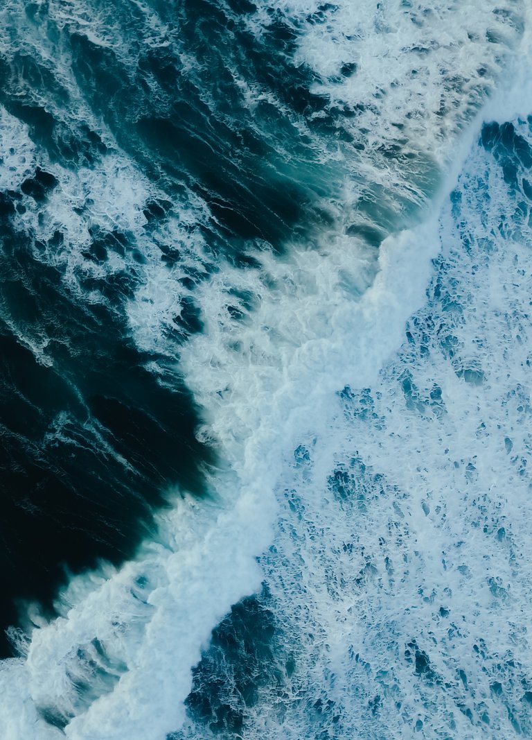 drone_tofino-28.jpg