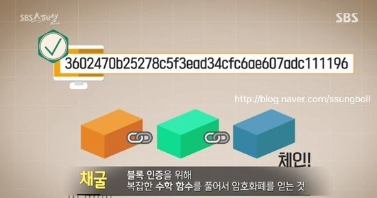 sbs_스페셜12.jpg