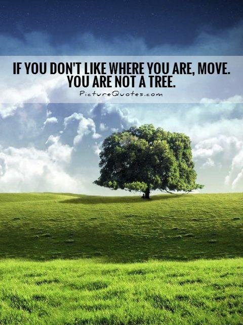 if-you-dont-like-where-you-are-move-you-are-not-a-tree-quote-1.jpg