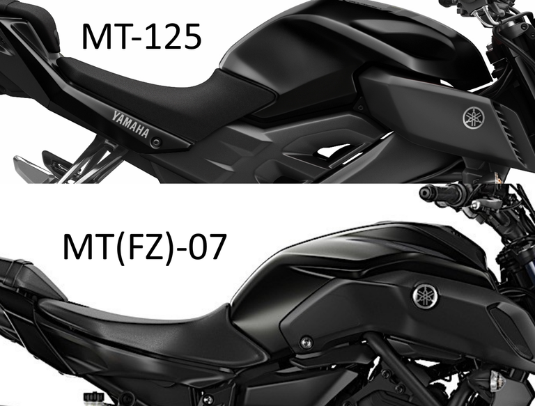 mt07 and 125.png