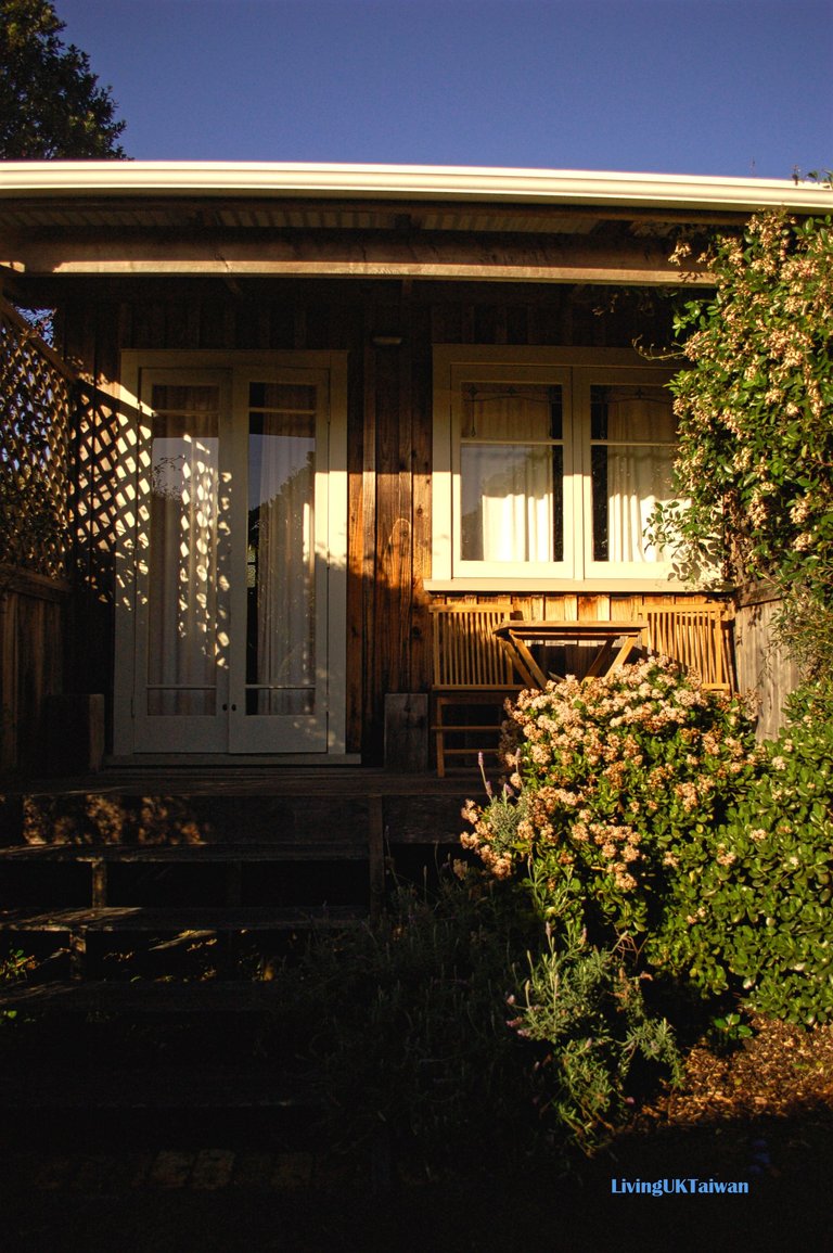 nz6_04.jpg