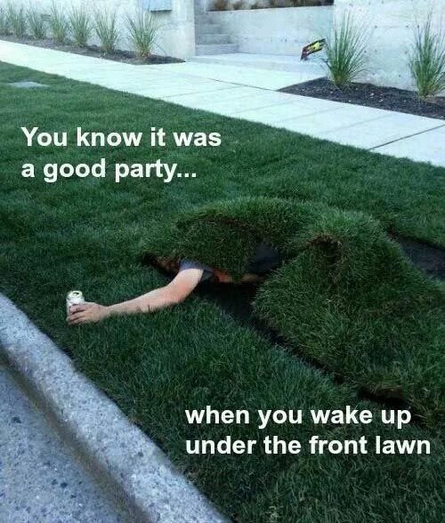 hangover-picture-front-lawn.jpg