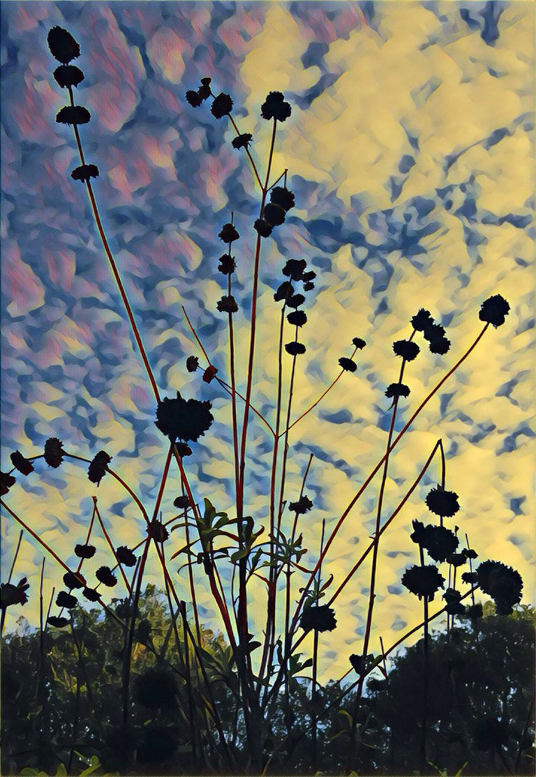 Fort Ord Silhouette.jpg