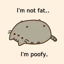 pusheen poofy.jpg