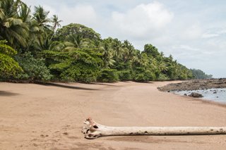  Costa Rica - Wildlife, rainforests & pura vida