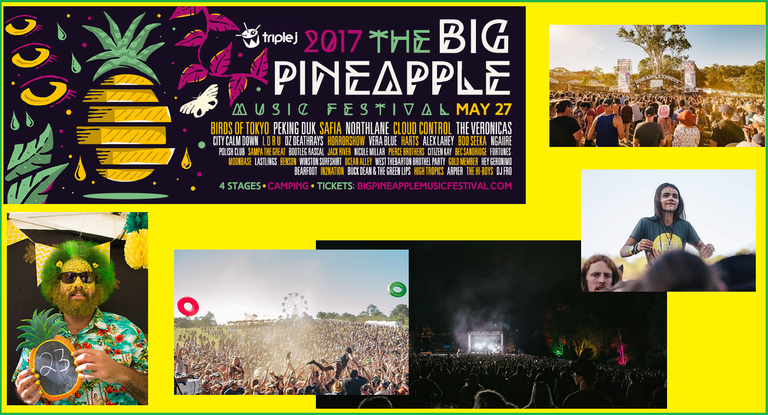 Big-Pineapple-Music-Festival-2017.png