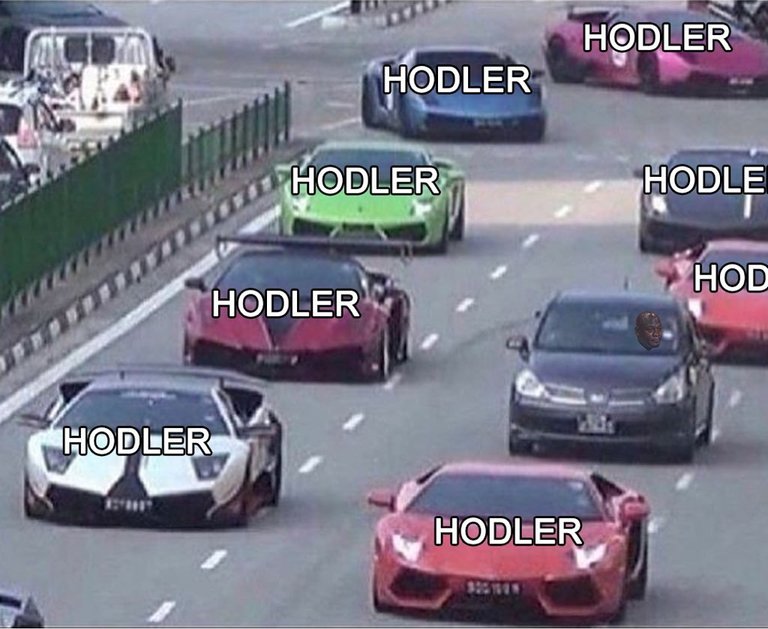 hodler.jpg