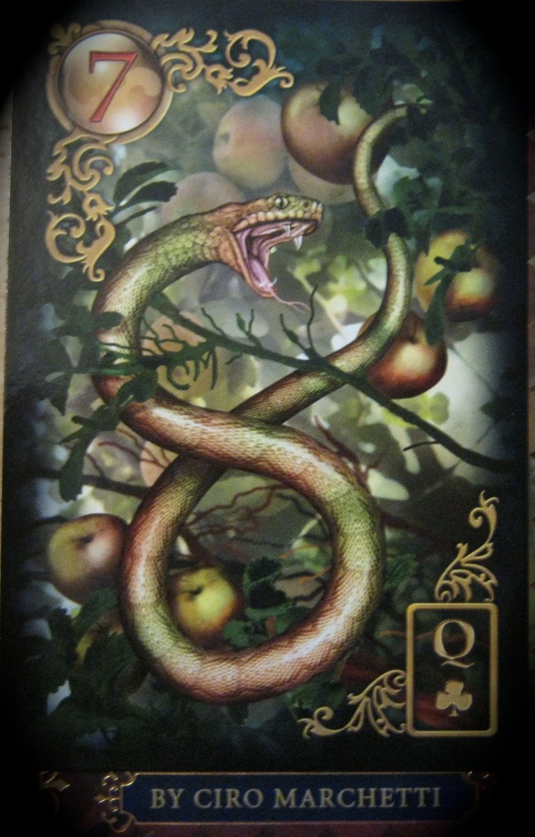 gilded-reverie-lenormand-the-snake.jpg