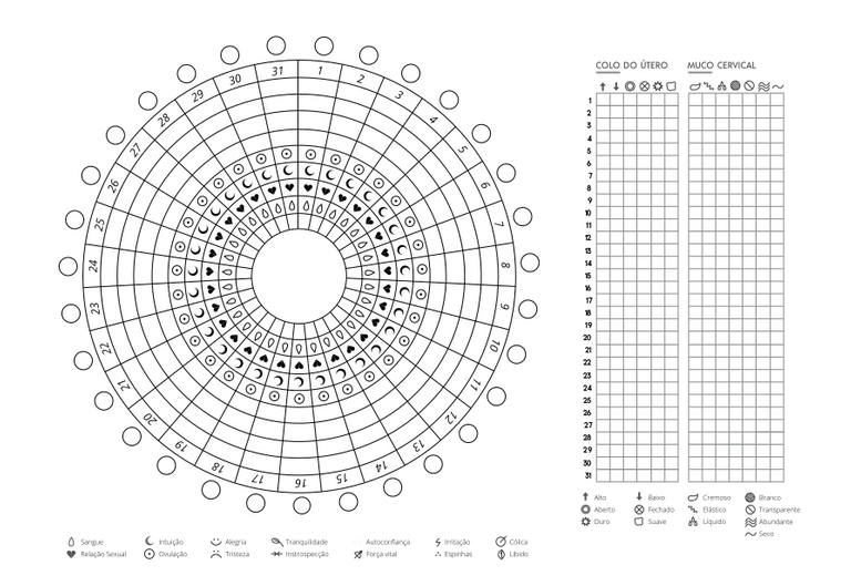 mandala.png