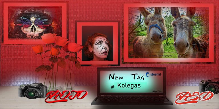 Kolegas ROJO.jpg