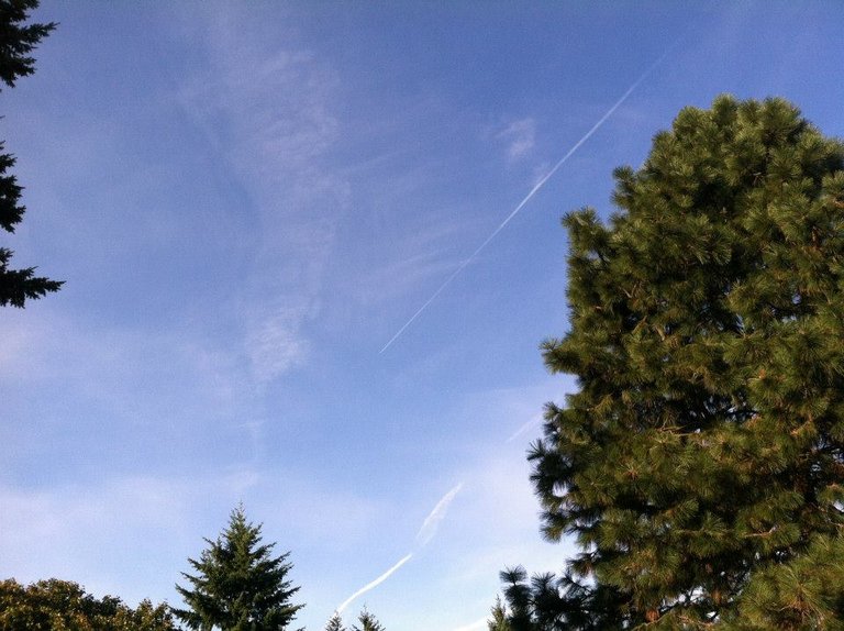 contrail 4.jpg