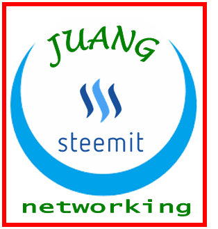 Juang Steemit Networking.png