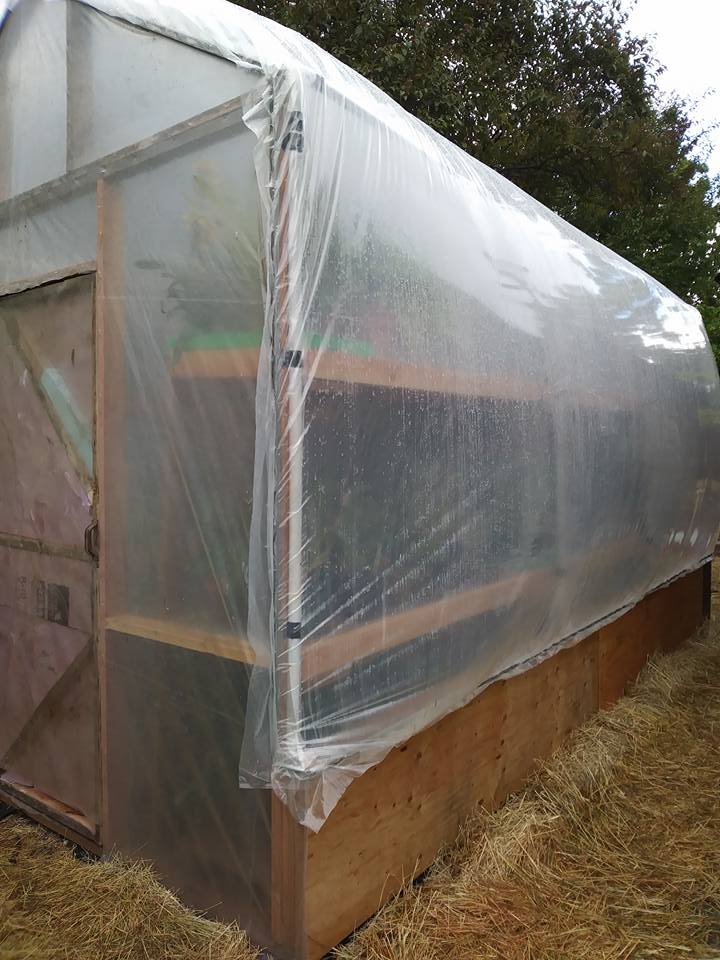 new-greenhouse.jpg