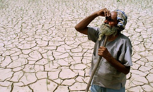 farmer (1).jpg