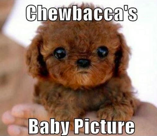 chewbacca_baby.png