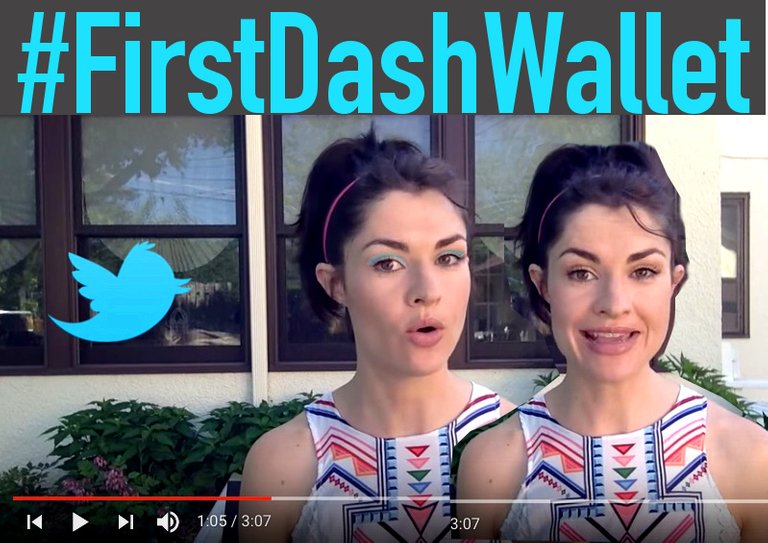 firstdashwallet2.jpeg