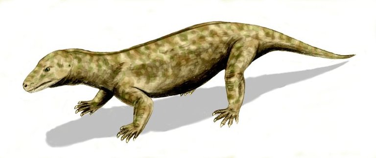 Procynosuchus_BW.jpg