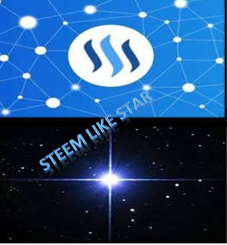 stemm like star.jpg