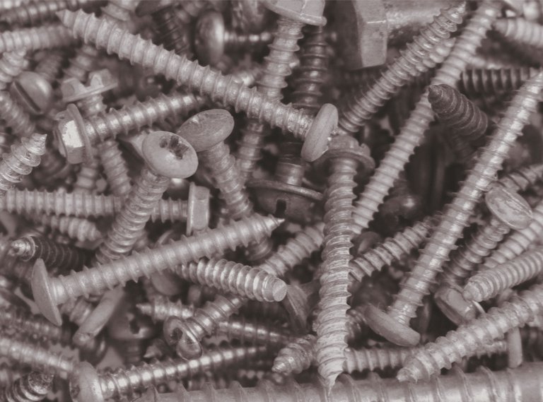 Macro Screws.JPG