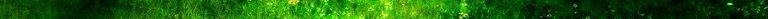 neongreen-invert-strip.jpg