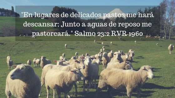 _Jehová es mi pastor; nada me faltará._ Salmo 23_1 (3).jpg