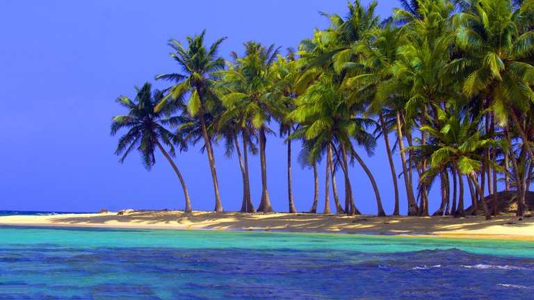 tropical-beach-1-pictures-wallpaper-wide-desktop-high-quality-resolution-1280x720.jpg