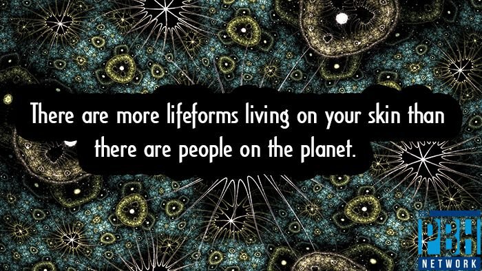 lifeforms-living-on-your-skin.jpg