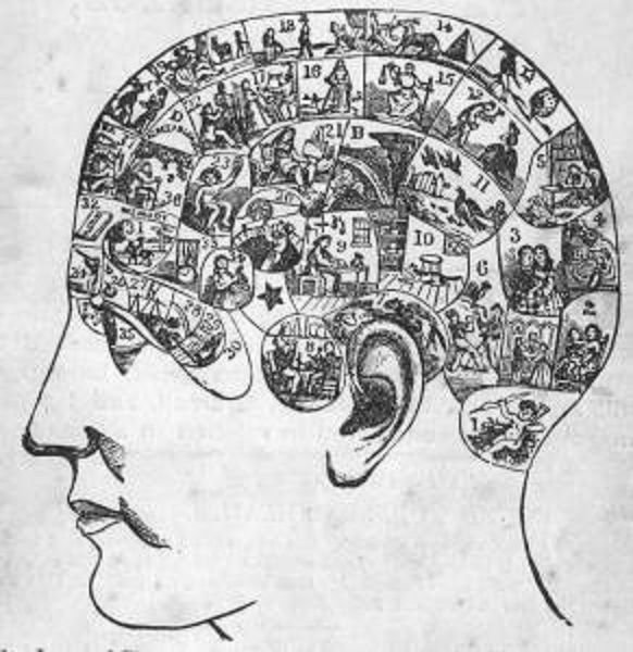 phrenology.jpg