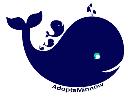 whale-1.png