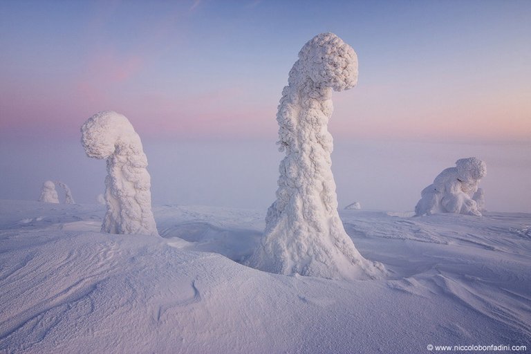 Centinelas-del-Ártico-Finlandia.jpg