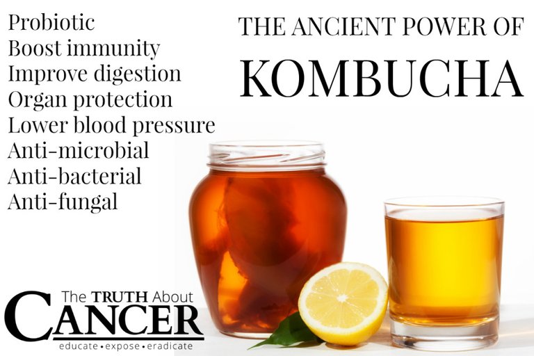 TTAC-Kombucha-Tea-Graphic.jpg