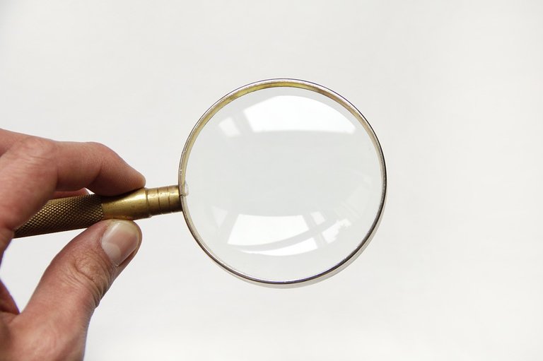 magnifier-1714172_960_720.jpg