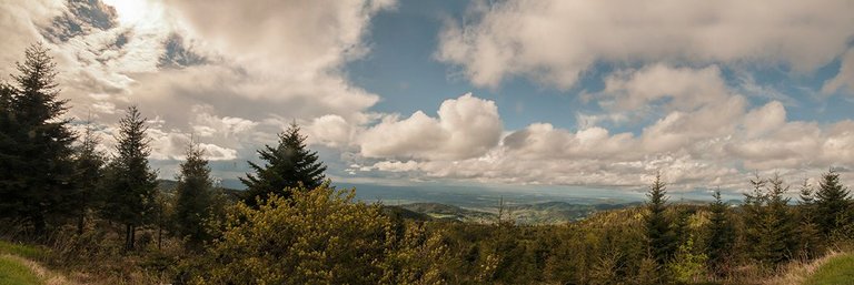 Schwarzwald_Panorama6.jpg