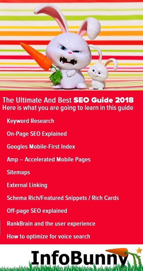 seo guide.jpg