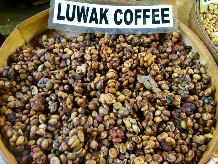 coffe luwak.jpg