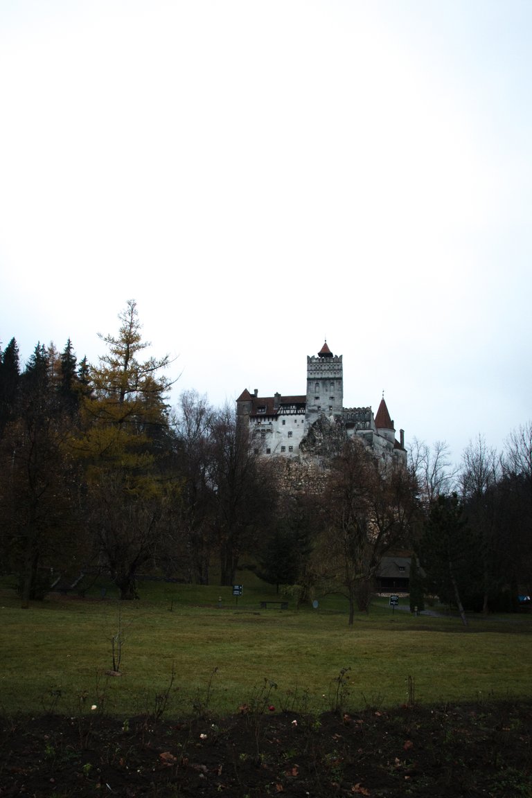 brasov-bran-144.jpg