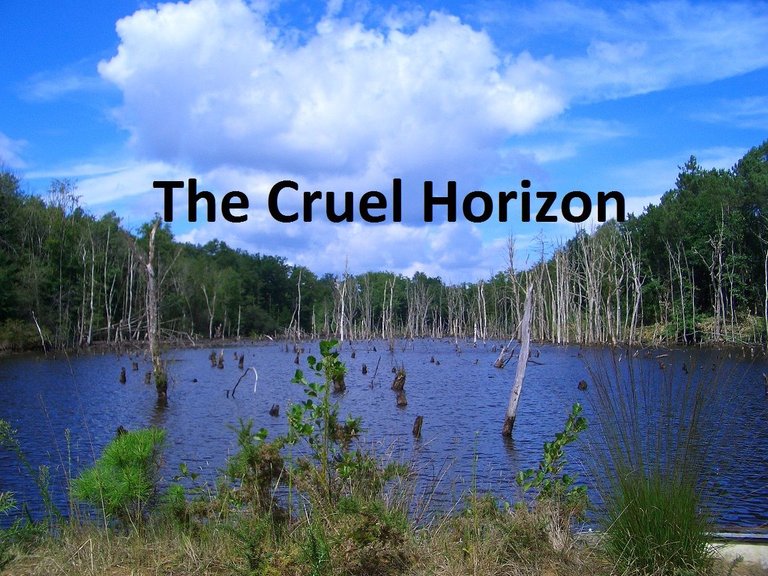 The Cruel Horizon Banner.jpg