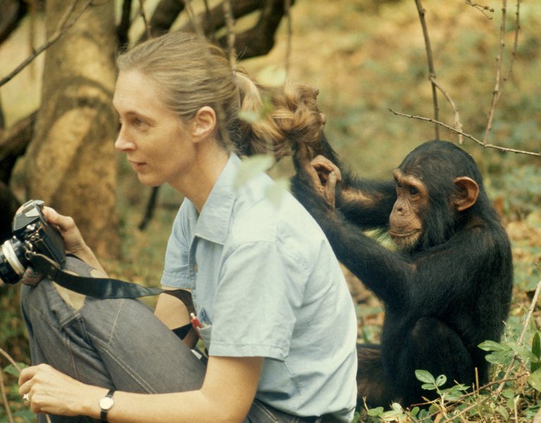 Jane-Goodall.jpg