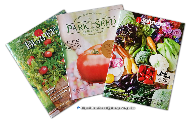 Seed-Buying-Catalogs-SteemPowerGarden.png