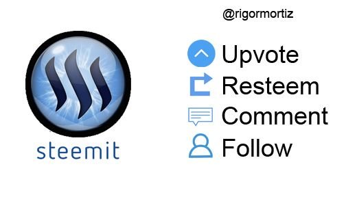 steemit rigormortiz footer follow upvote.jpg