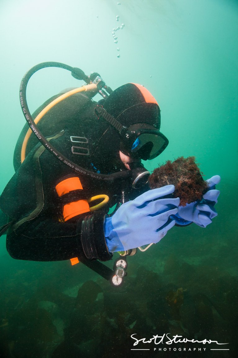 Barnard Castle Shipwreck-1.jpg