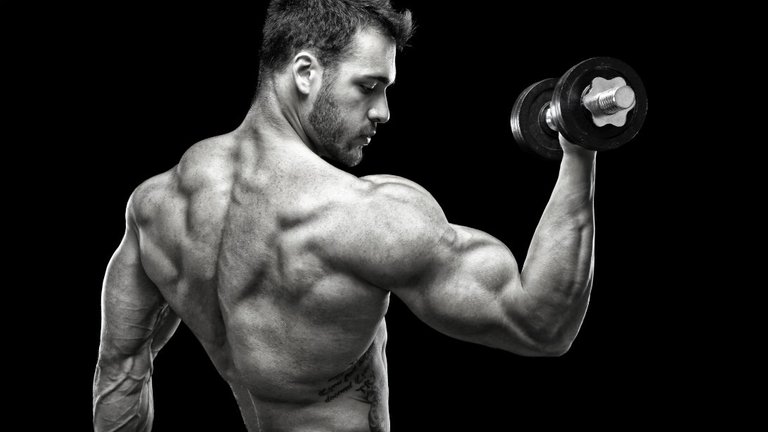 single-arm-dumbbell-curl-symmetrical-more-muscle.jpg