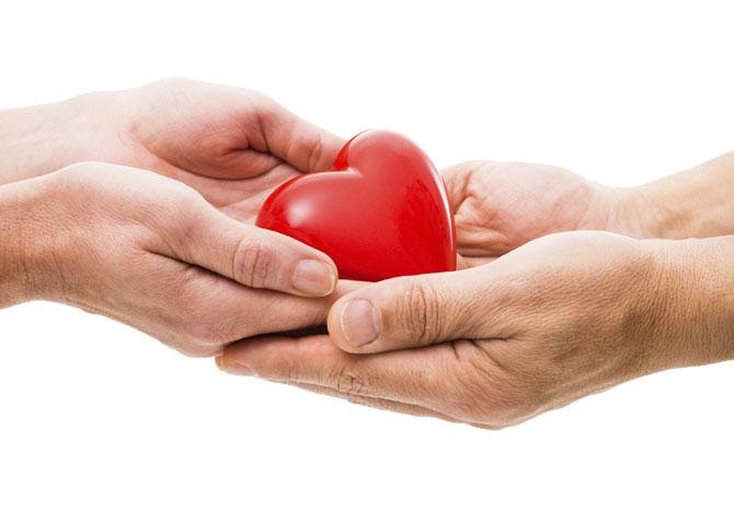 8-organ-donation-facts.jpg