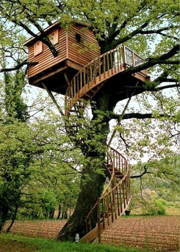 20-tree-house.jpg