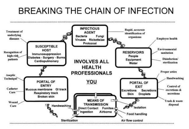 breakingchainofinfection.jpg