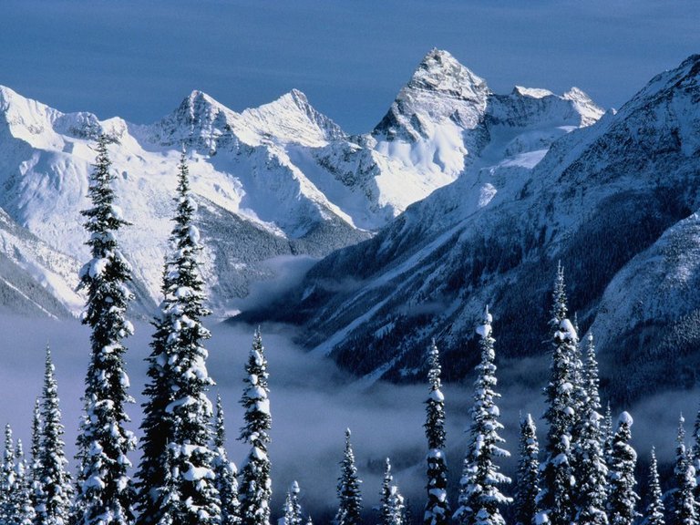 img727.jpg