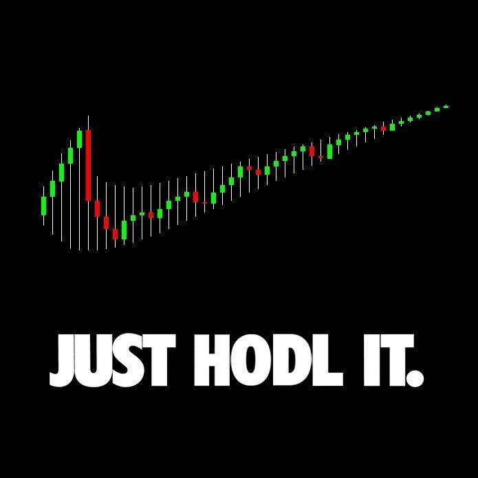 hodl 1.jpeg