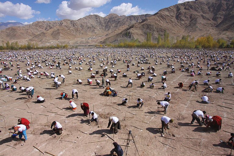 Guinness_World_Records_for__Most_Trees_Planted__broken_in_Oct_2010_and_2012.jpg