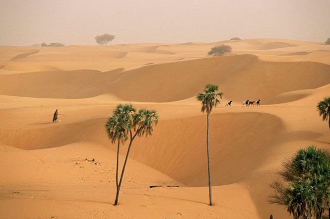 Sahel, North Africa.jpg