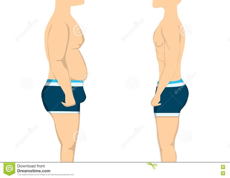 fat-to-slim-body-healthy-concept-changing-lifestyle-shape-75780127.jpg